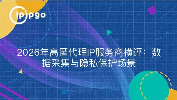 2026年高匿代理IP服务商横评：数据采集与隐私保护场景