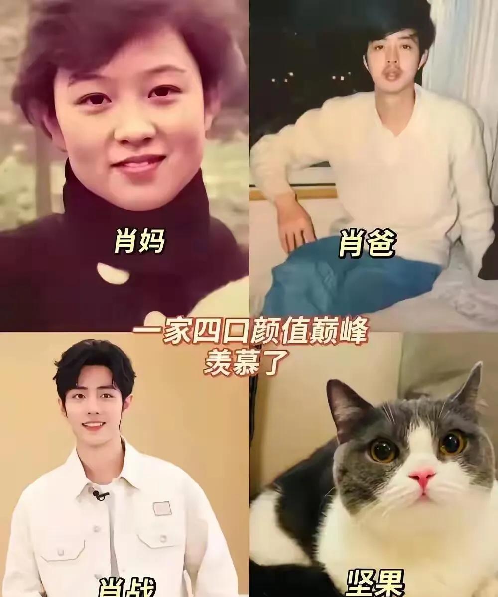 肖战真的十分孝顺！
肖战：如果说有七天假期，应该会带着爸妈跟朋友一起到欧洲看一看