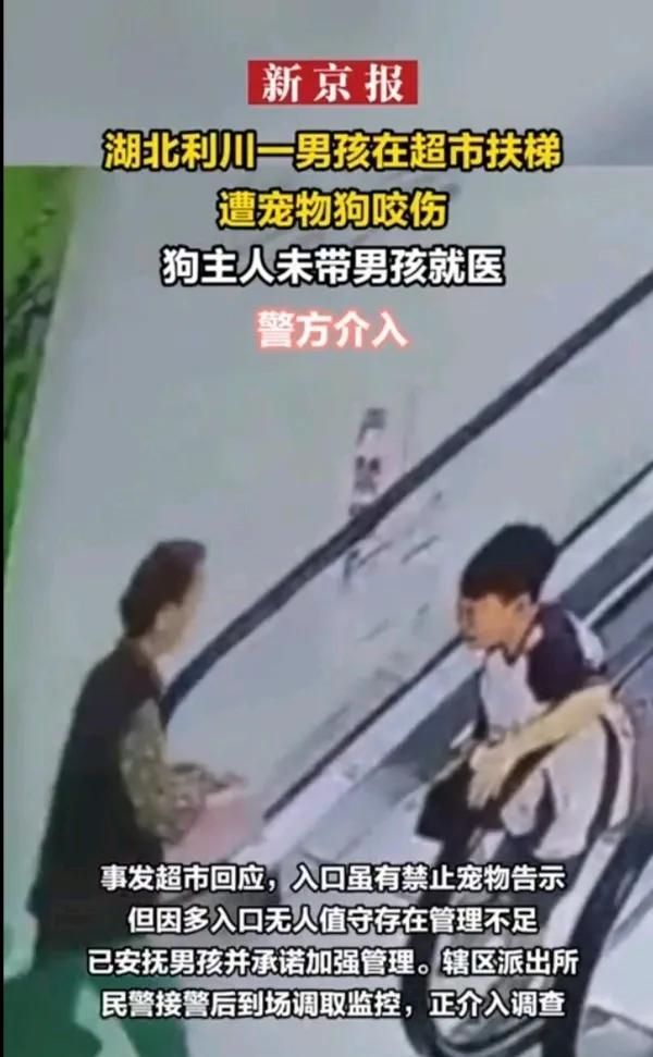 湖北一个男孩在超市扶梯被狗咬伤，狗主人未带受伤男孩就医。
不知这超市是不是所谓的