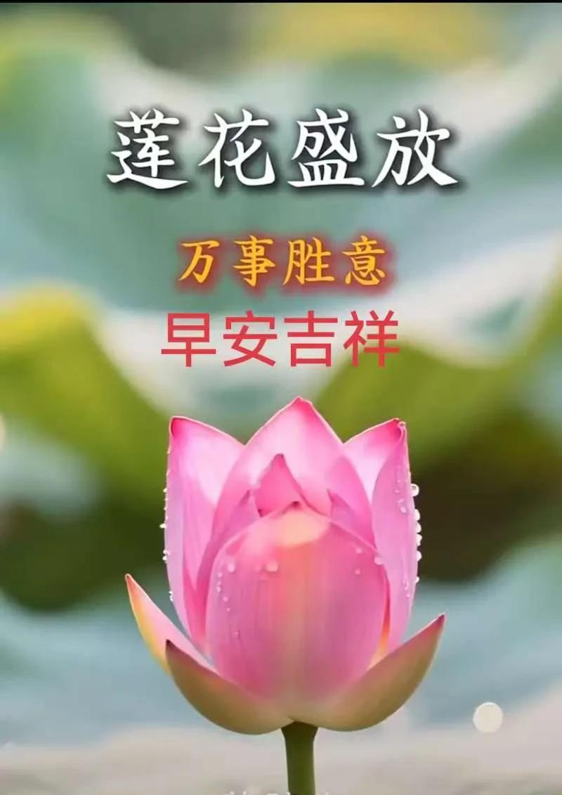 伊朗竟然宣称击落了以色列的F35，这消息是真是假？实在令人好奇，只能静静等待后续