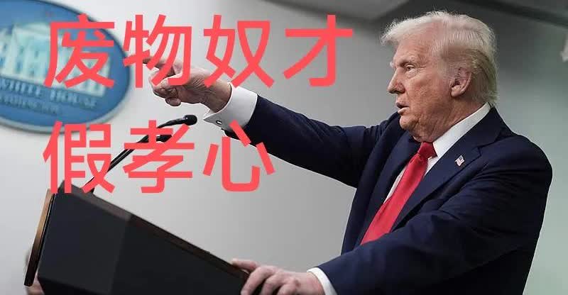 一夜之间，中国几亿网民全力支持俄罗斯。乌克兰蒙了，泽连斯基蒙了，什么情况？我做什