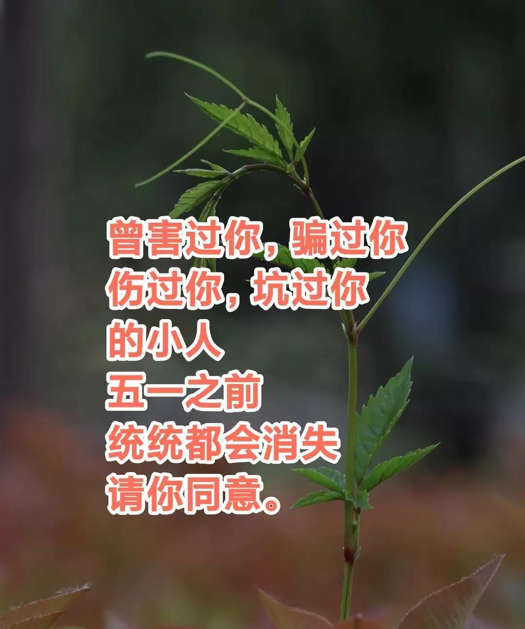 信不？曾经害过你，骗过你
伤过你，坑过你
的小人，在
五一之前
统统都会消失，
