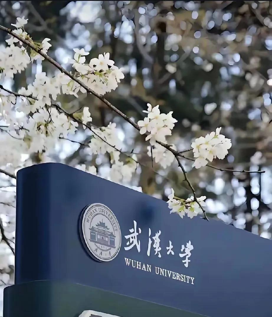 “樱花时节倍思亲“的武大。杨同学和她的学长们，各顶各都是叱咤中国互联网的风云人物