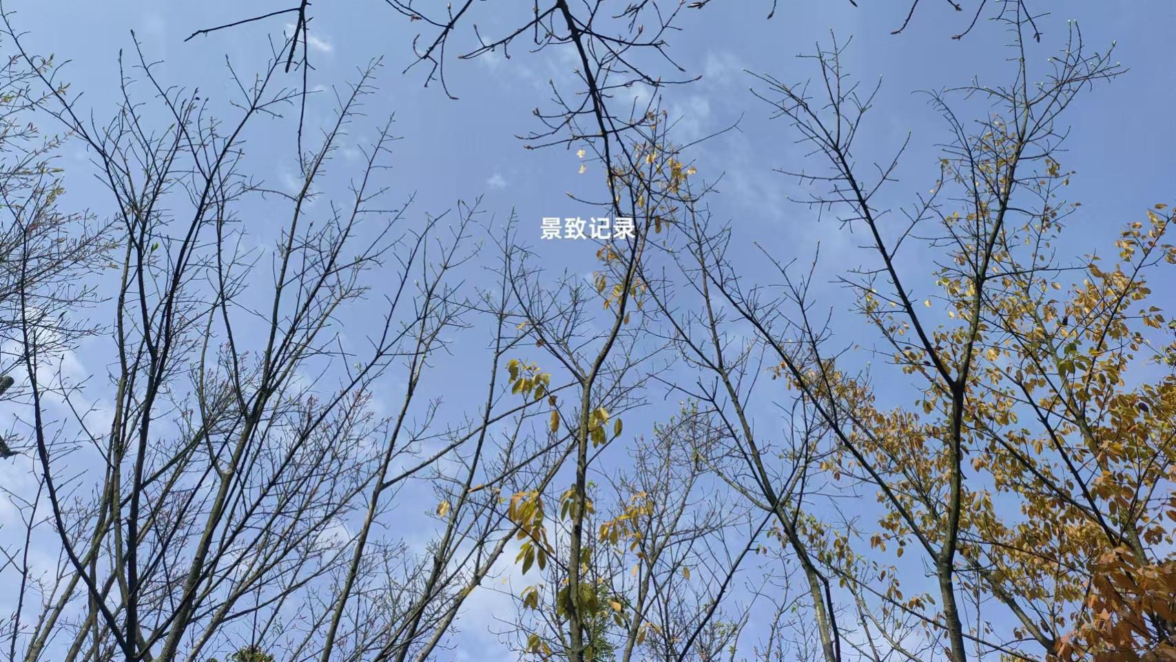 景致记录：美国费城东反省院，狄更斯质疑囚徒中，有罪犯贵族阶级