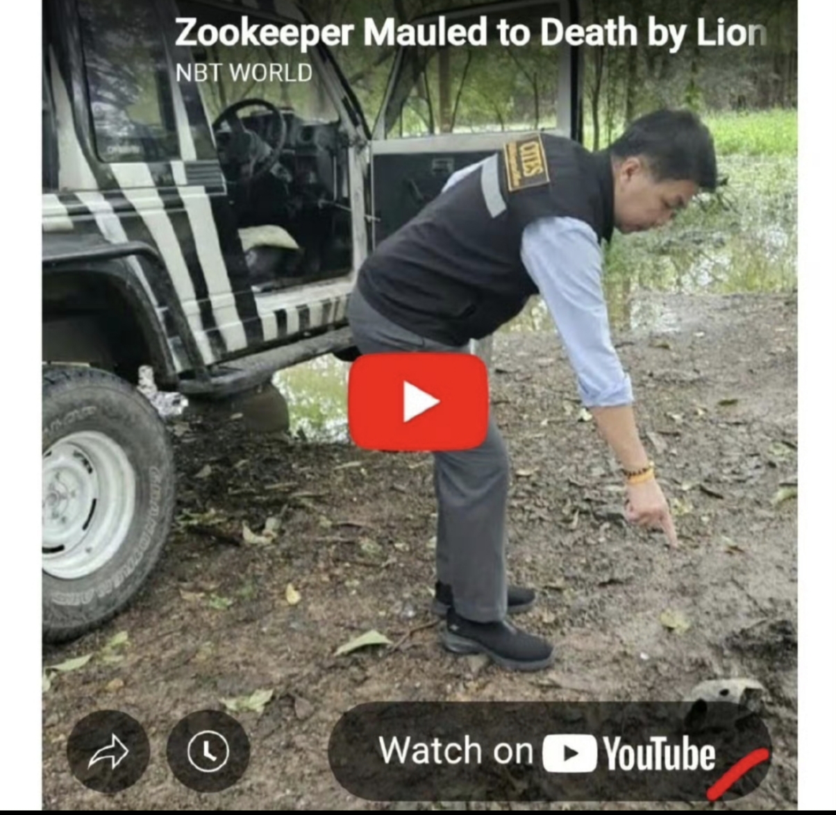 曼谷动物园20年老员工遭狮群围咬身亡！游客按喇叭救人却目睹惨剧
曼谷知名Safa