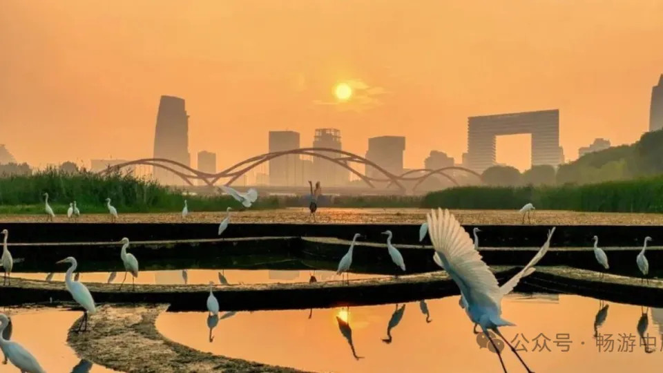 鹤壁年味：从《诗经》里走来的千年风雅