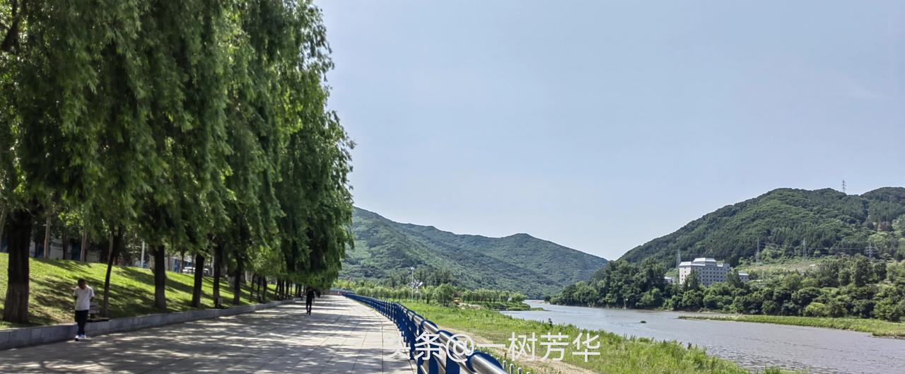 为什么有时候，我们看周围有的人就是不顺眼呢？
有的人长得相貌平平，他也没对你怎么