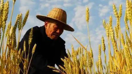 “二月十九早看天，一年不用问神仙”，今日二月十九，有何预兆？