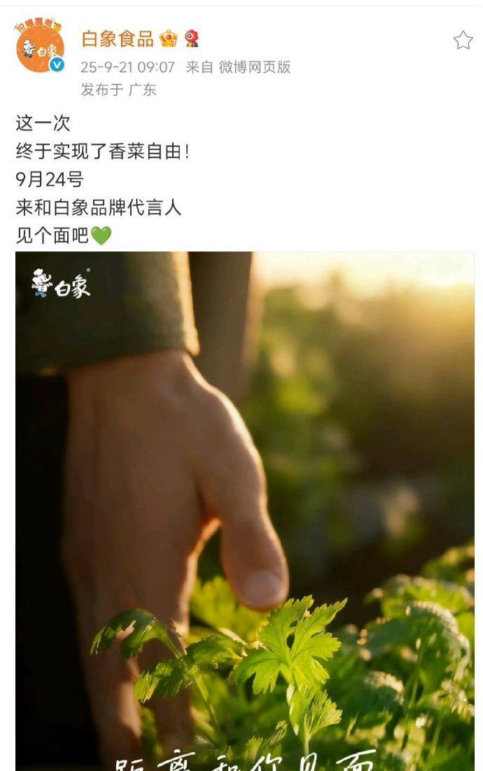 #王一博白象合作官宣！坐等泡面名场面，动物园喜提新成员[马思纯的微笑]#