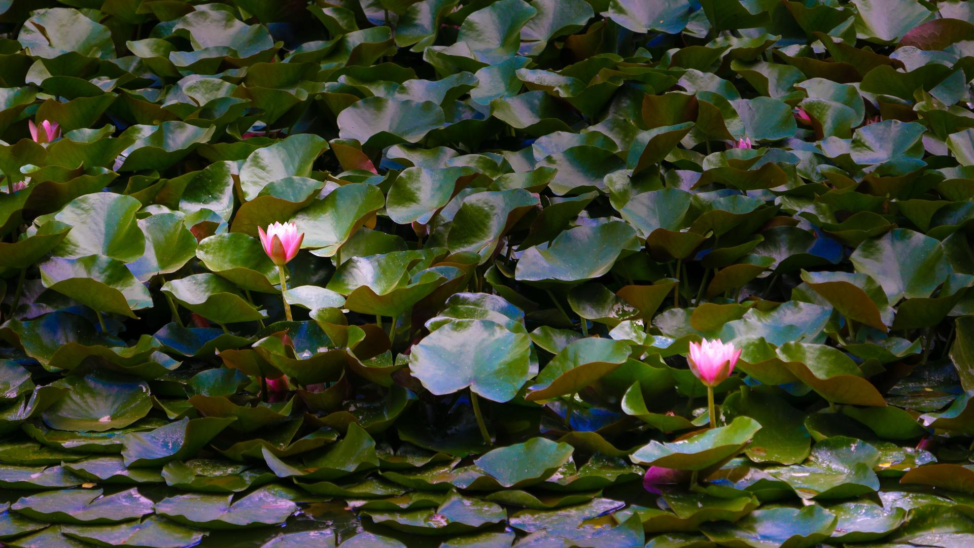 高敏感人群如何缓解情绪过载