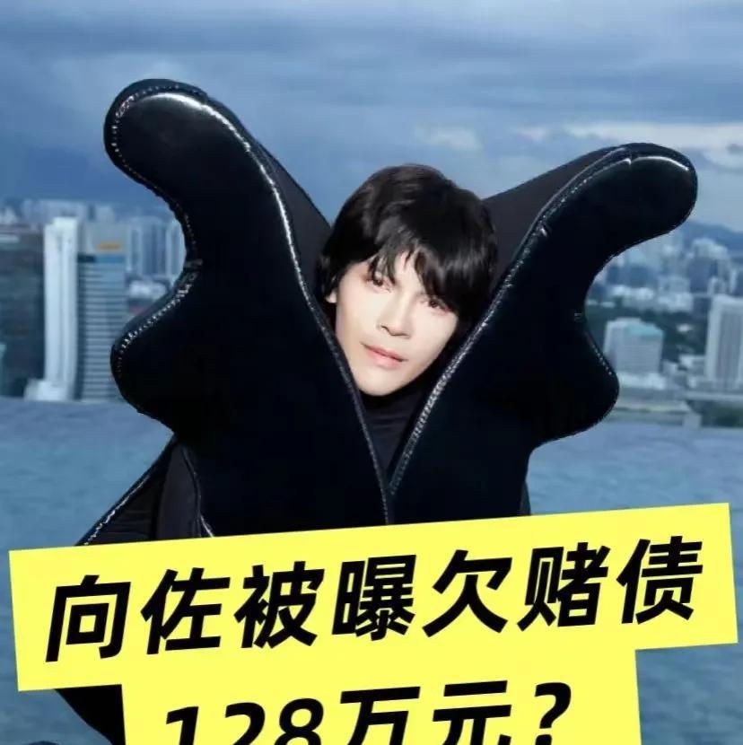 向佐方回应网络传闻，称不存在任何欠债行为。
网络不是法外之地，不信谣、不传谣，共