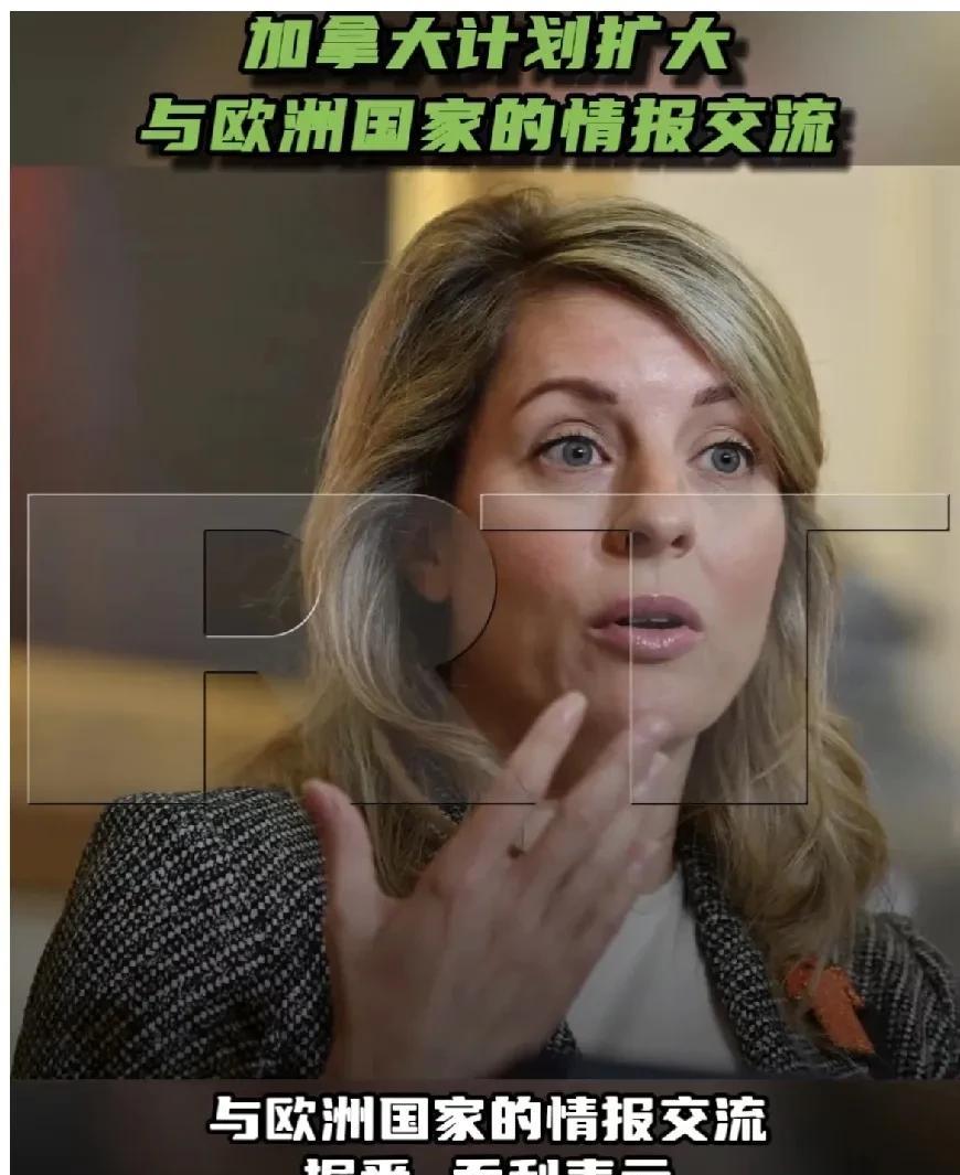 2月26日，加拿大新闻社援引加拿大外交部长乔利的消息报道，在与美国就乌克兰问题上