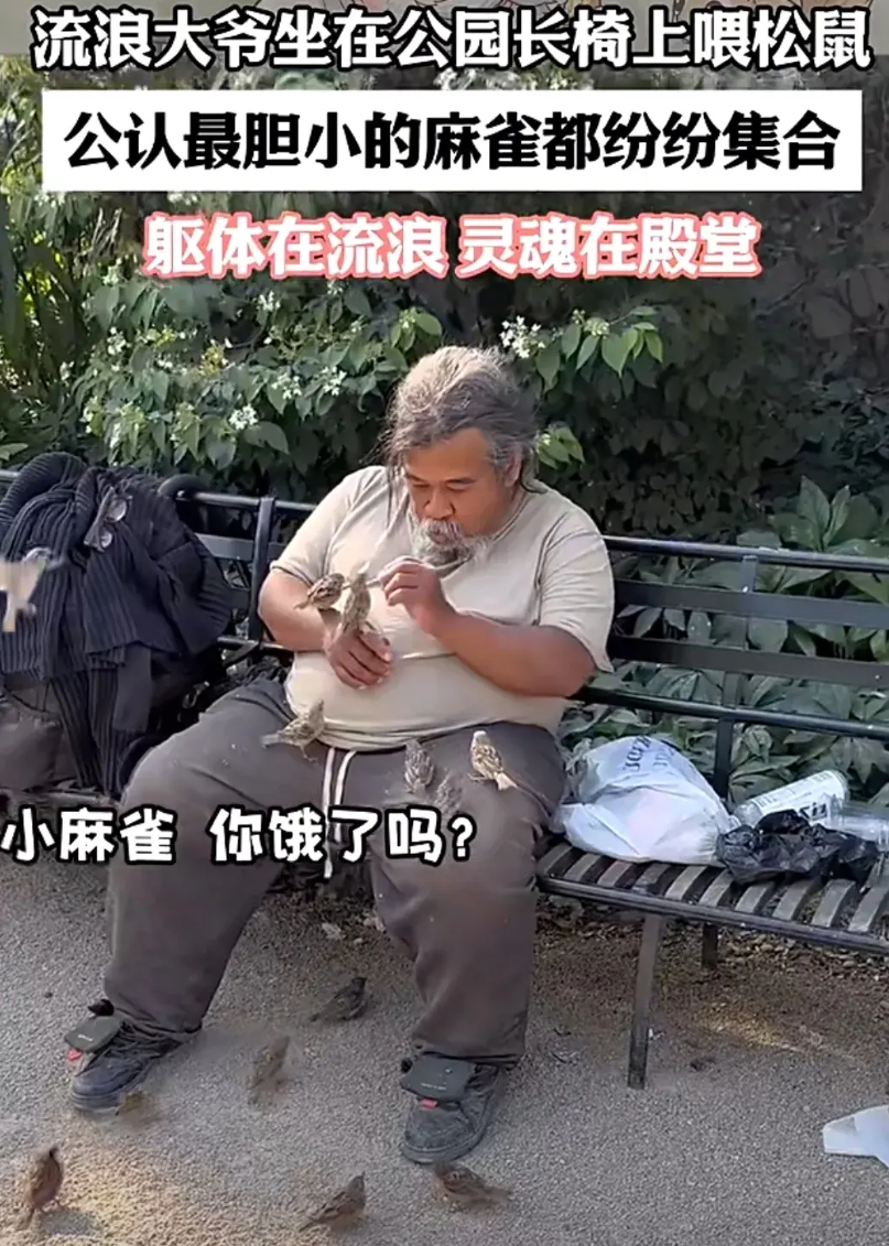 这个流浪者内心一定是善良柔和的，小动物可以感知人类的磁场，如果一个人是屠夫，那他