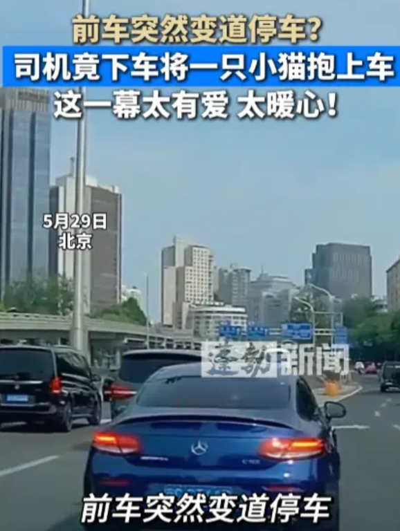怪不得他开奔驰！5月29日，北京，一男子开着奔驰跑车在路上突然变道停车，随后他下