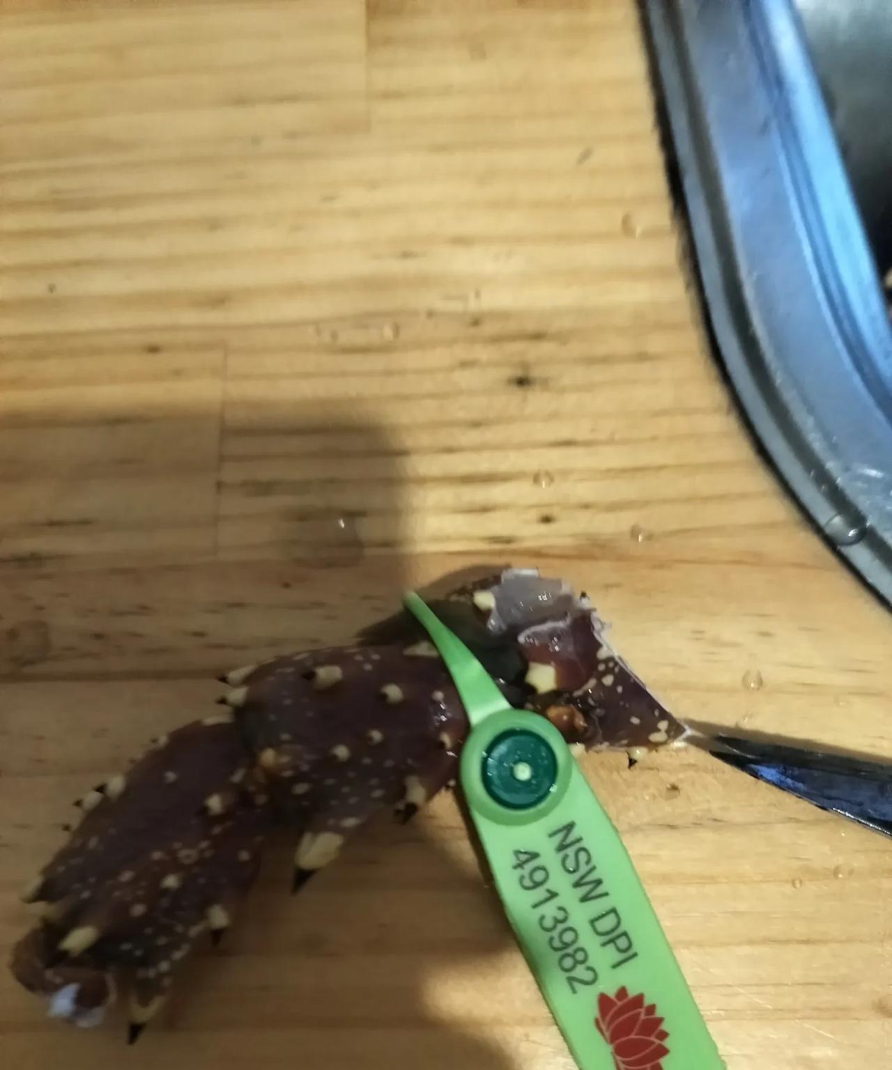 龙虾米线。