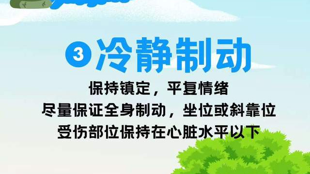 被植被吞噬的人行道：当城市绿化成为生命的陷阱