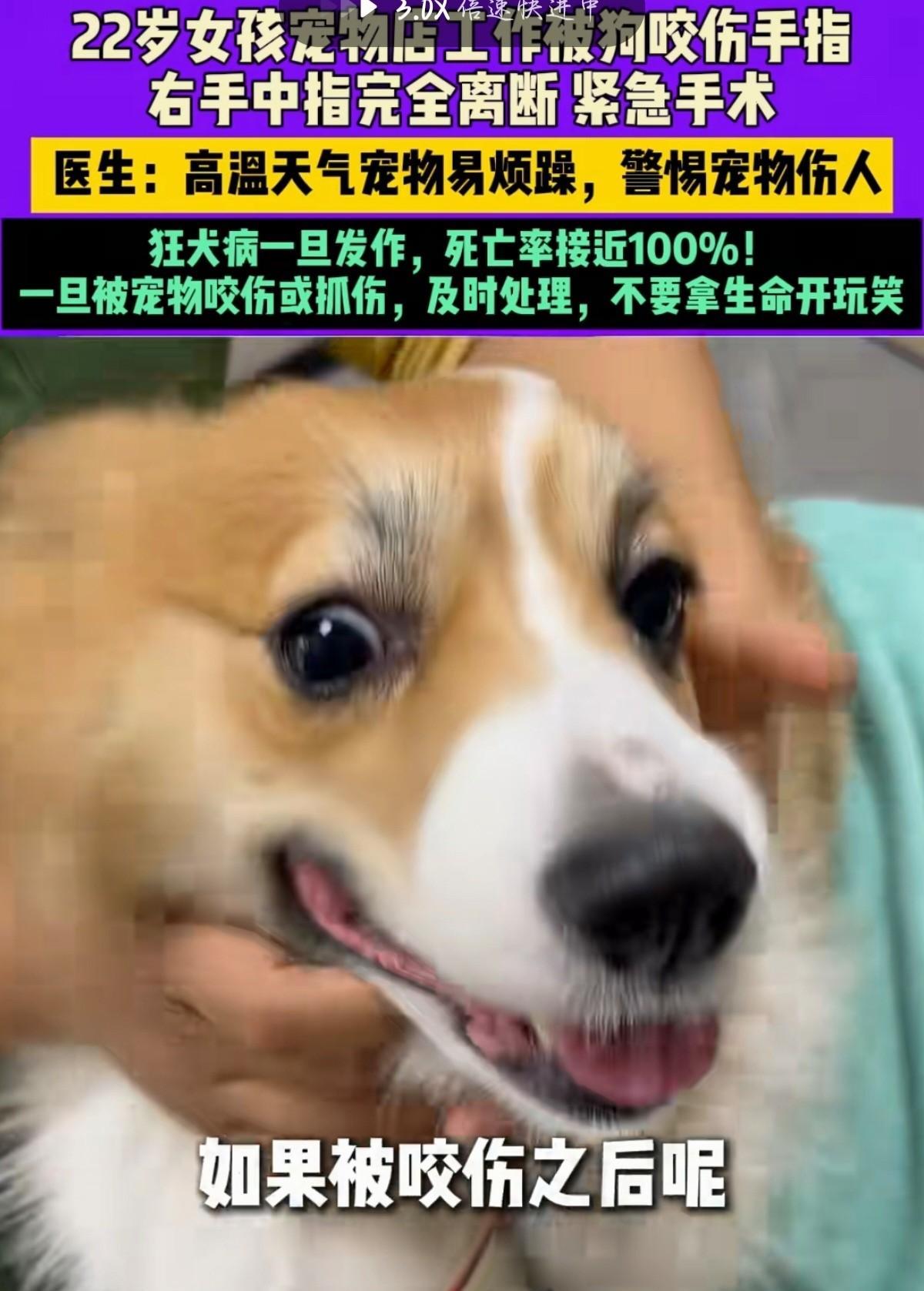 河南郑州，22岁的陈女士在宠物店工作时被狗咬伤，医生紧急对她进行手术。
据小莉帮