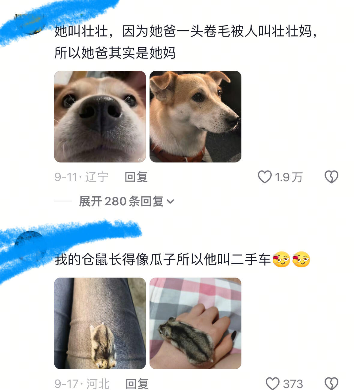 玲儿想叮当，哈哈