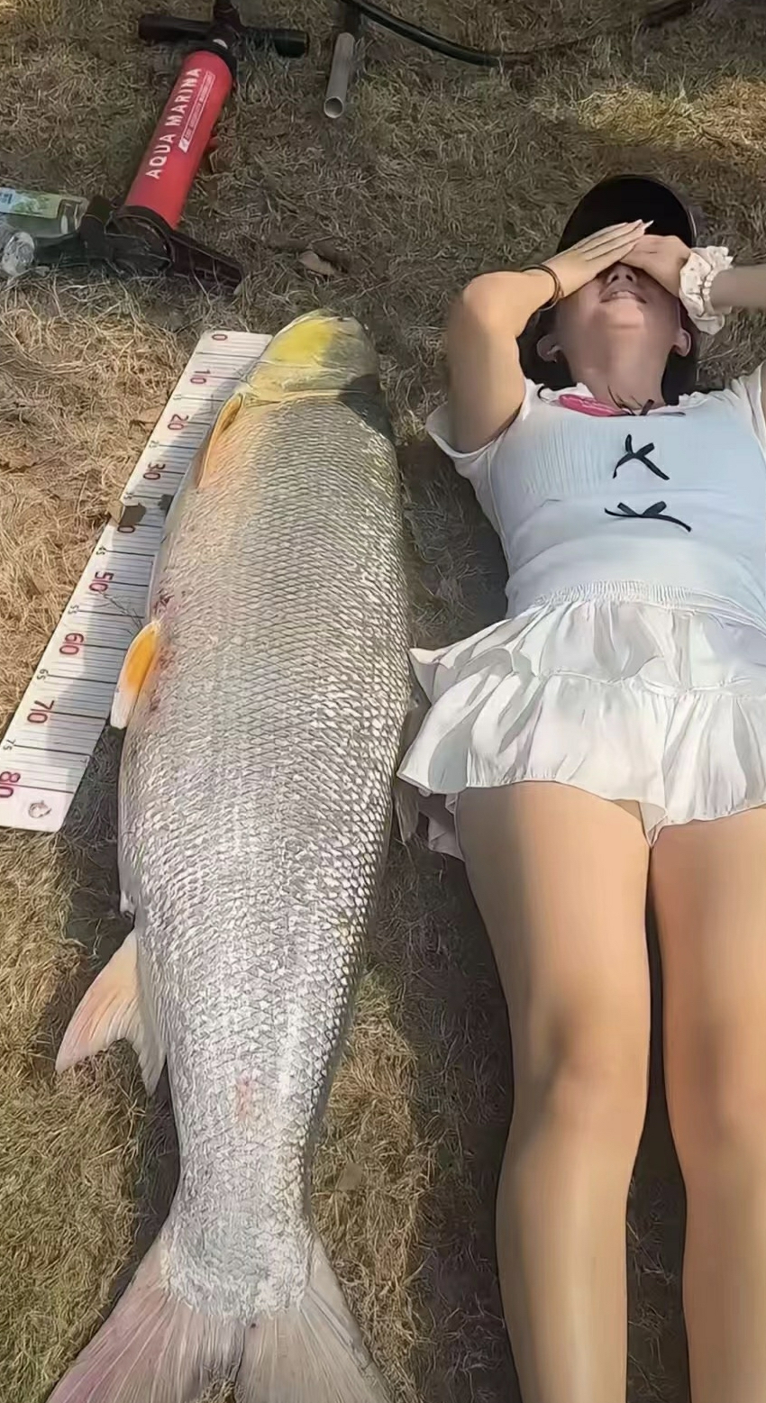 这鱼真白啊。