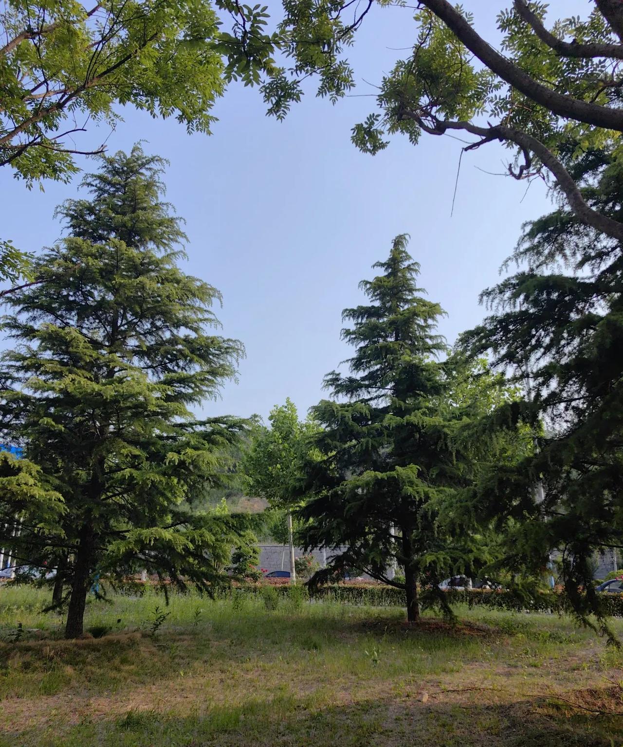 老母亲住院一个半月，花了两万三千多，虽然说统筹部分报销75%，但是居民医保自费项