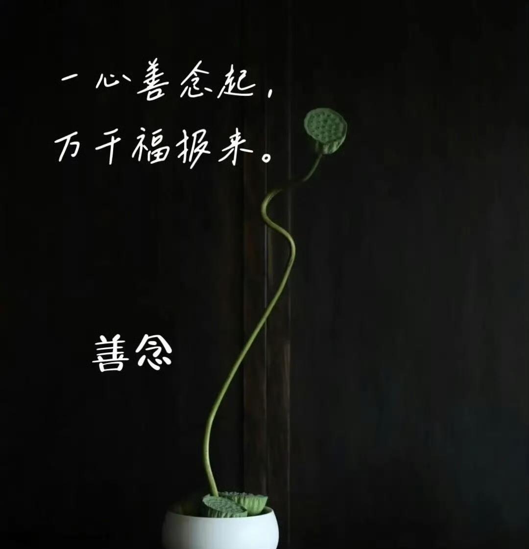 人善自带福，心善福常在！