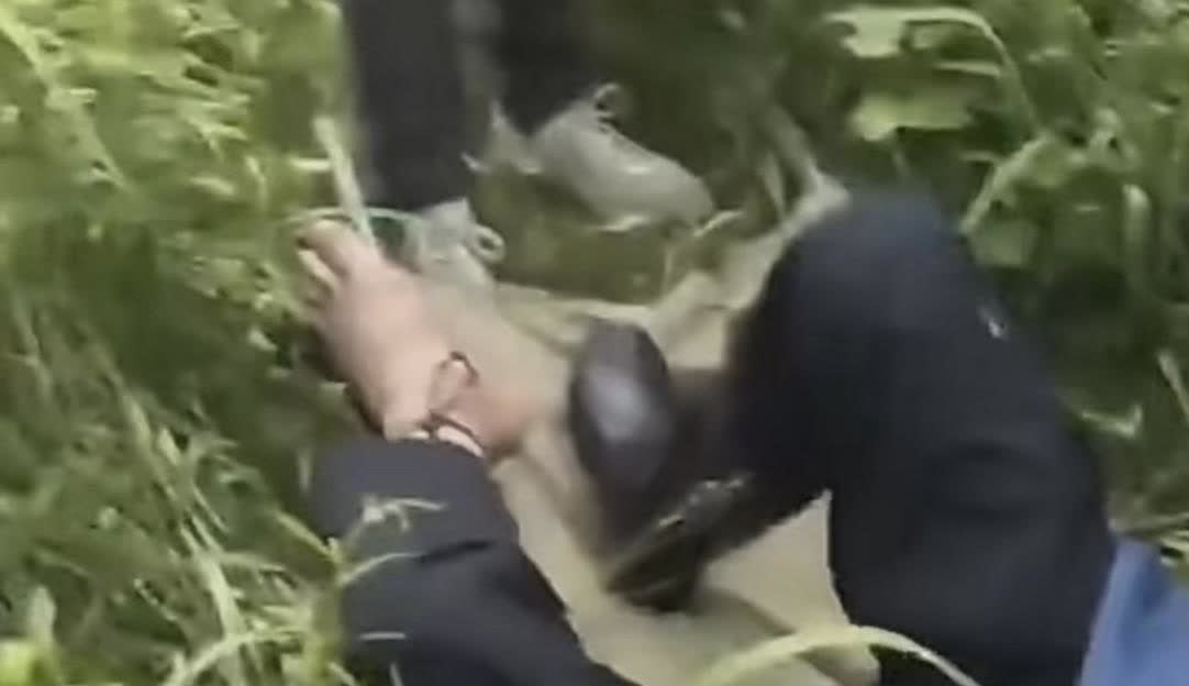 前一秒某个生态专家说，为了防止劳作时被毒蛇咬伤，可以穿上长靴，没想到下一秒就被啪