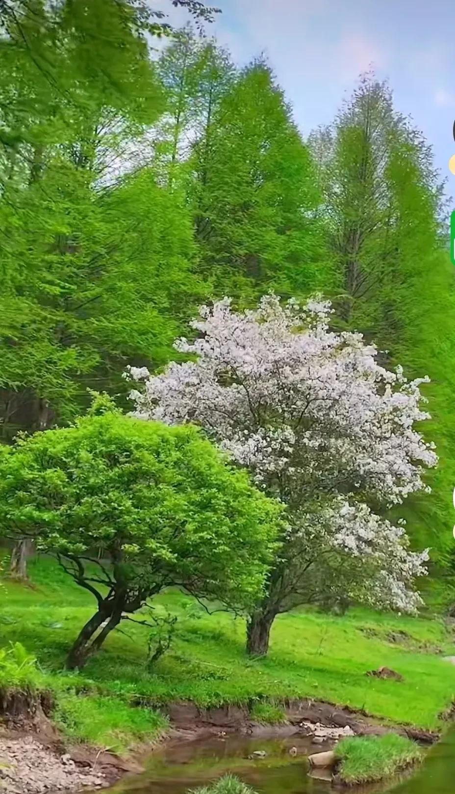 初中班级稳居前三的班级学霸，凭实力靠近重点高中重点班，到了重点高中重点班才知道这