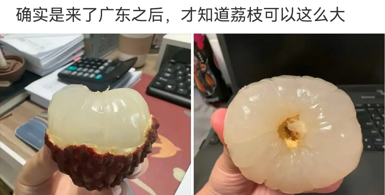 还是妃子笑好吃酸甜口，荔枝味只是大而已