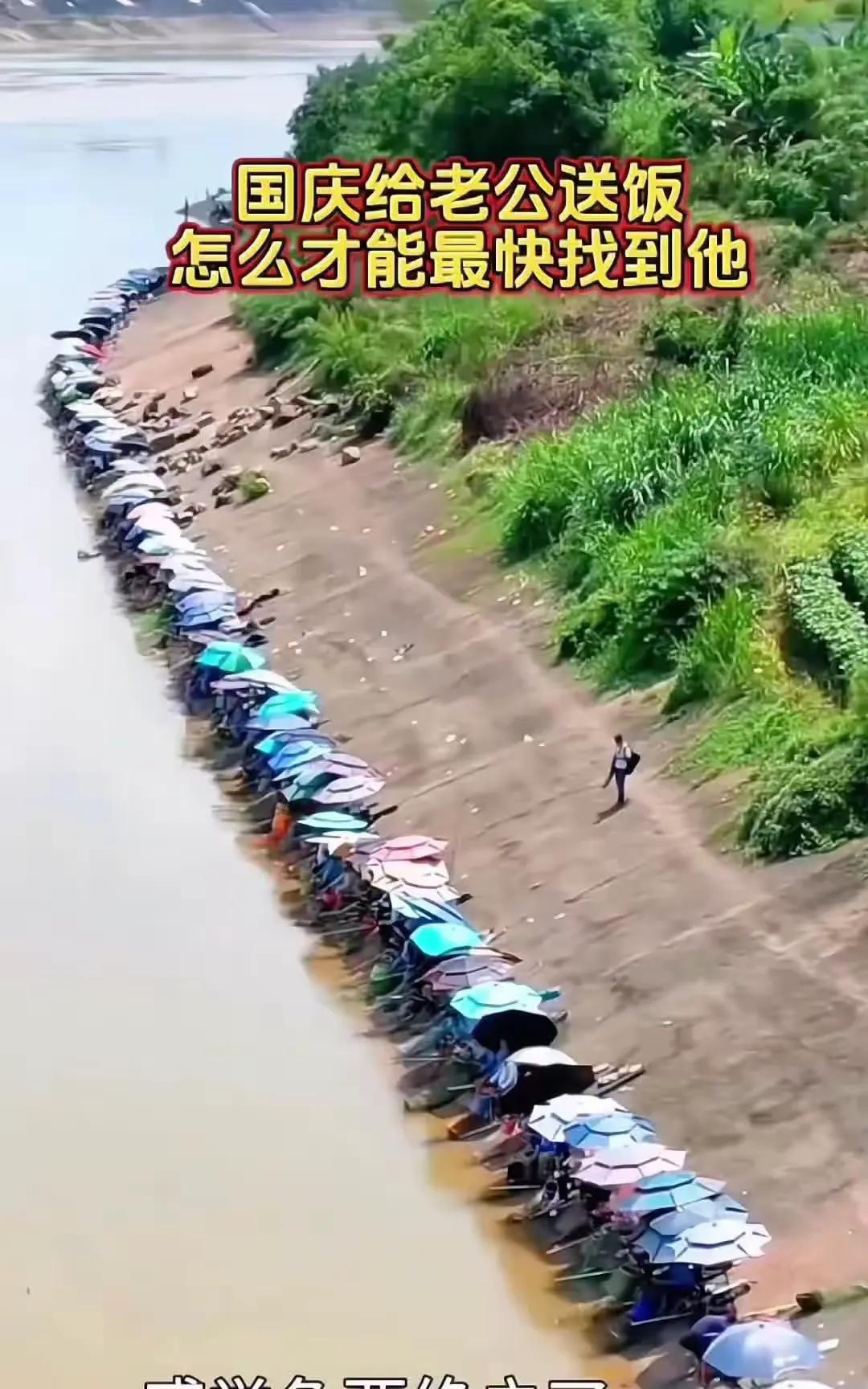 为什么做一条鱼就这么难？