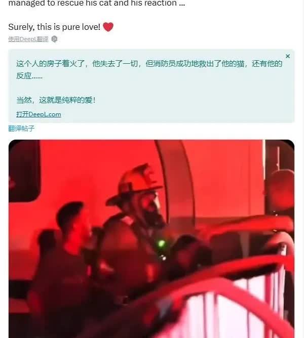 加州的熊熊大火已经将杰克家包围了。杰克抱着一只猫站在房顶大声呼救。

幸运的