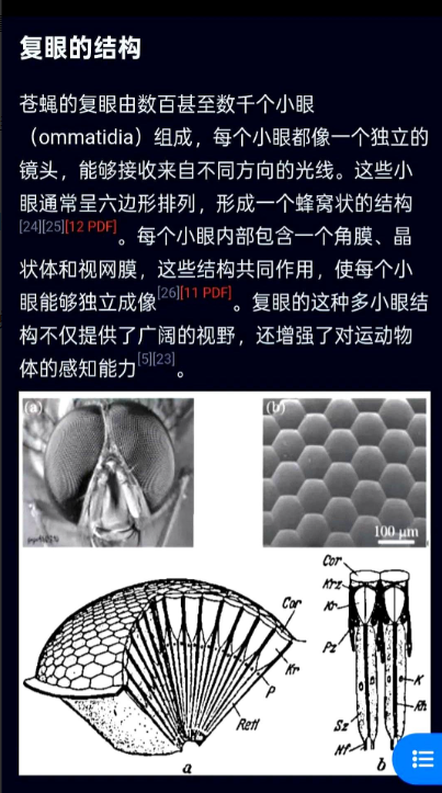 人类科技，在苍蝇复眼面前弱爆了。大白话说就是：

4000余只复眼，每只都独立感