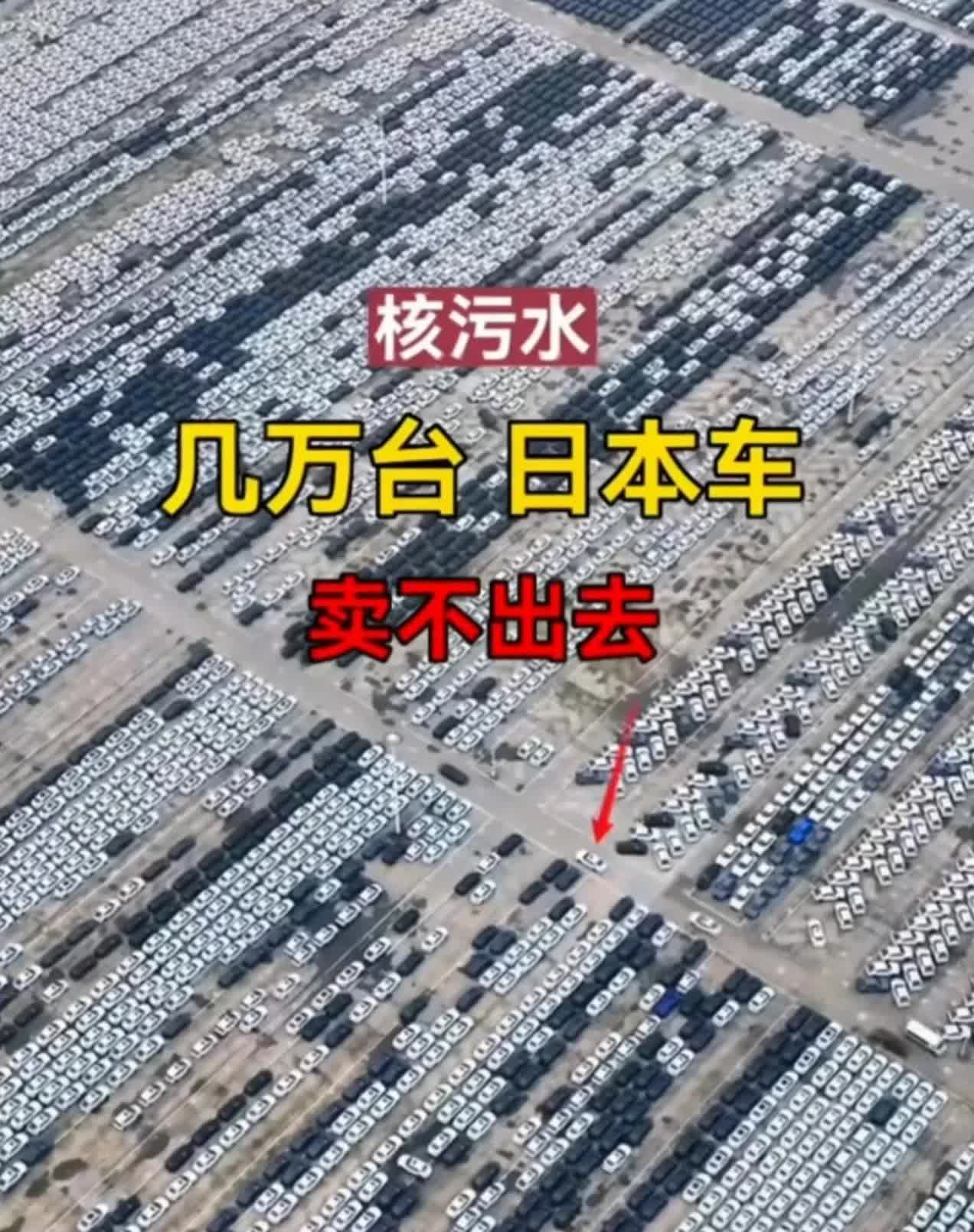 日本不听劝告，执意排核污染水，果然出大事了。

最近日本的车市可真是冷清。想