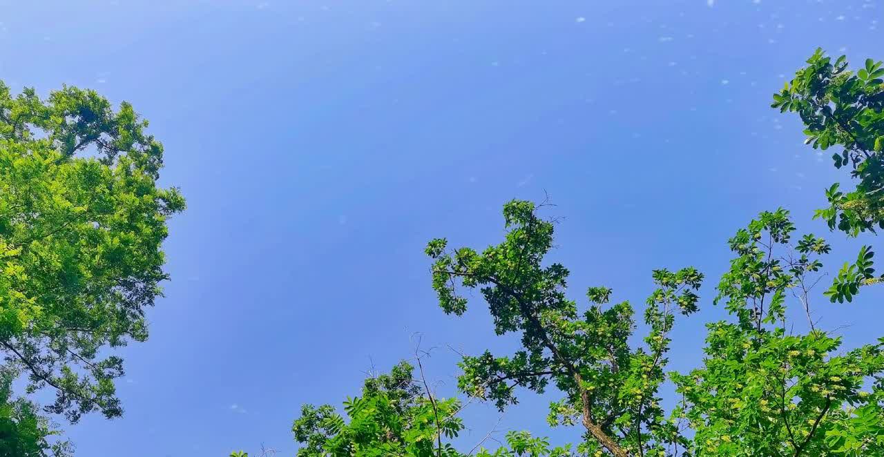 摩托车上高速并不常见。

并非每个省份都允许摩托车上高速。

不过在高速