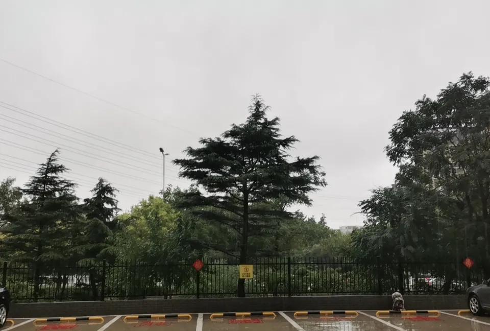 秋日的雨，
愈下愈凉；
燥热的天，
骤然间凉爽起来。
夜里，
也添了几分寒意。