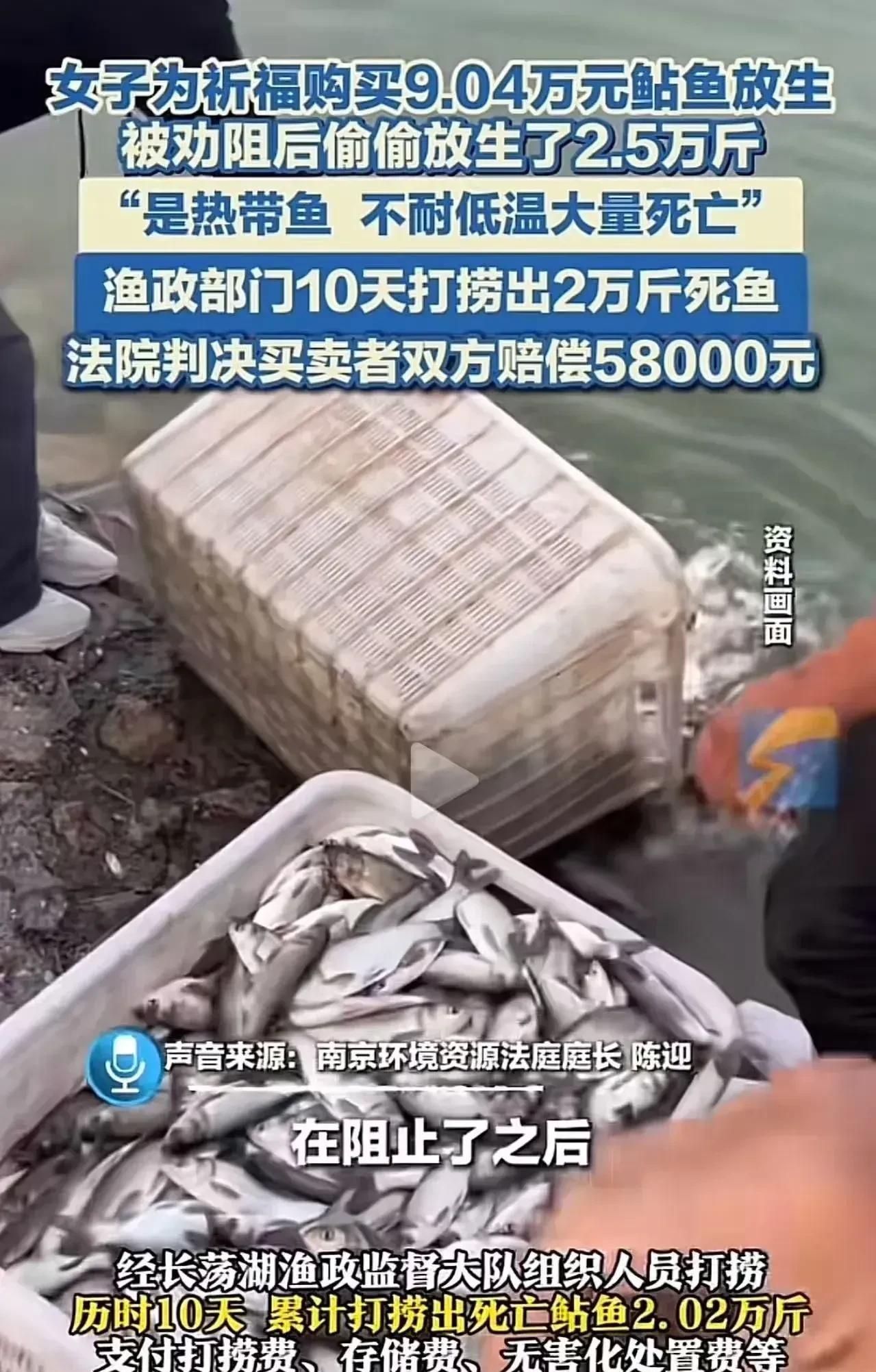 放生实质是假慈悲！一女子花费9万元买鱼放生，结果却是造了孽，还要面临处罚，这是发