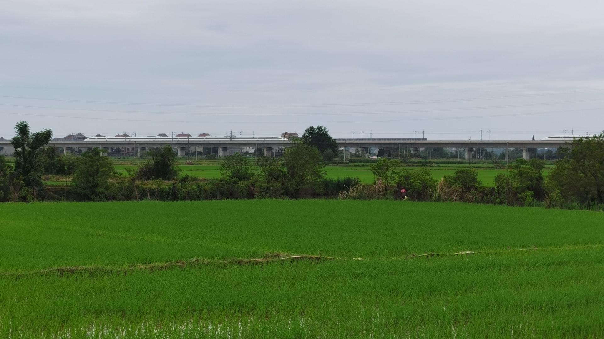 我的爱情，9.9年（一）