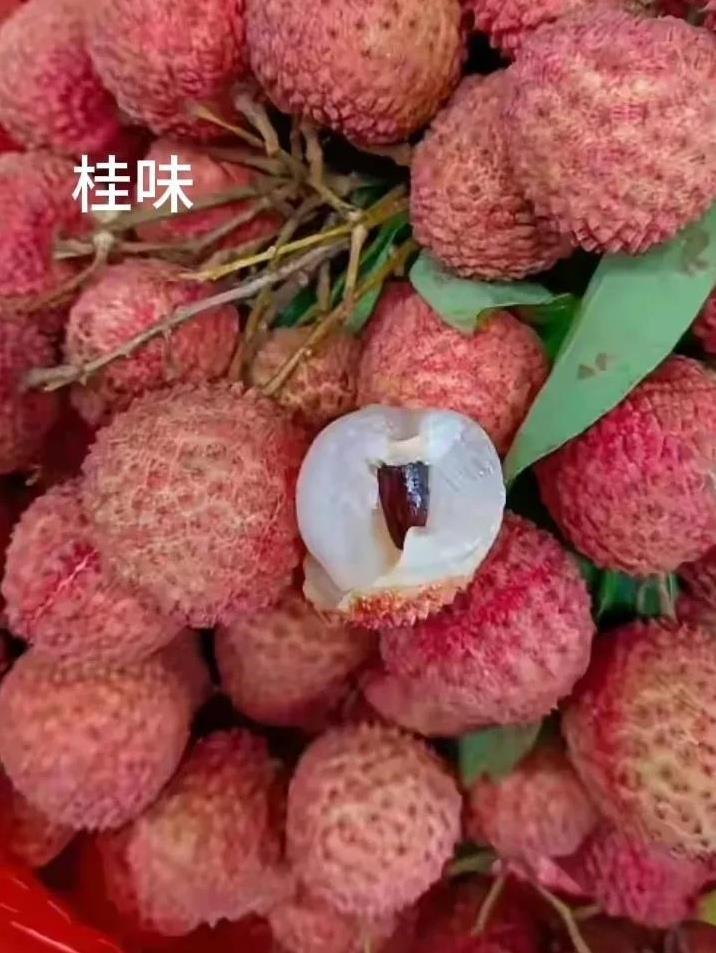 看清楚了，桂味长这相，再不要被商家用妃子笑忽悠了。
据说在两广某些地区，妃子笑喂