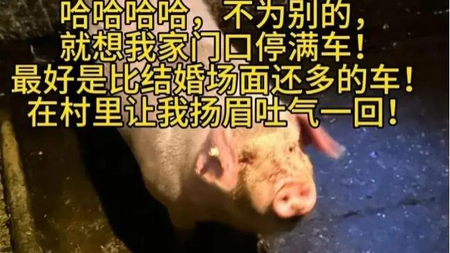 重庆刨猪汤为啥能蔓延