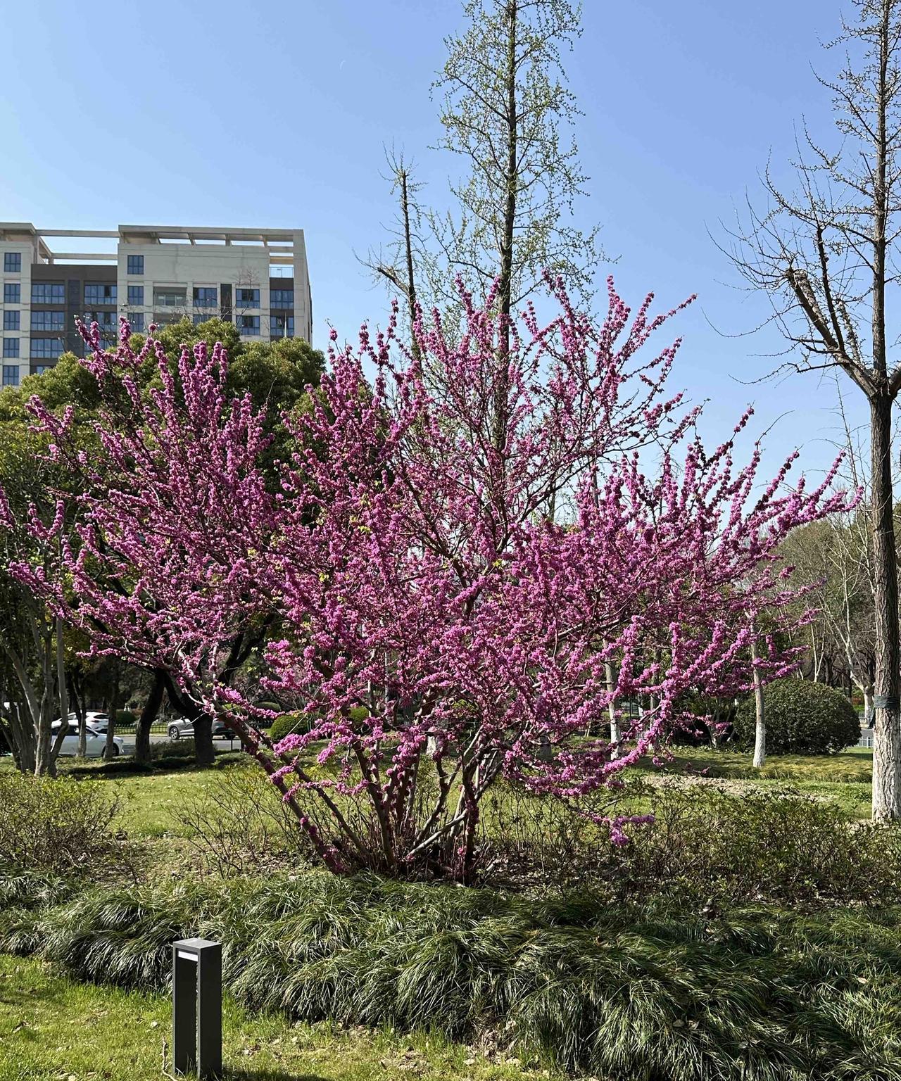 当一个人经历过许多背叛与套路之后，他的心境会经历什么变化呢？
就拿我一个朋友来说