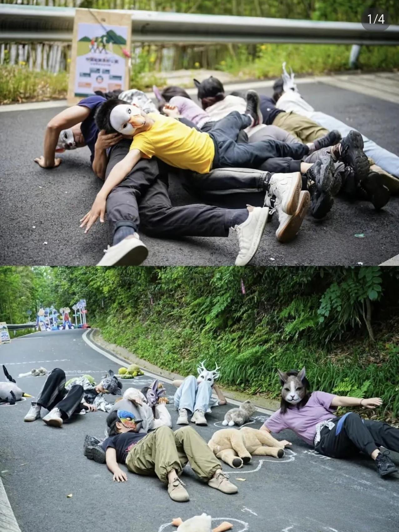 再一次在小红书见证奇葩事儿！某基金会要在杭州青山村大搞“中国动物友好公路”，说是