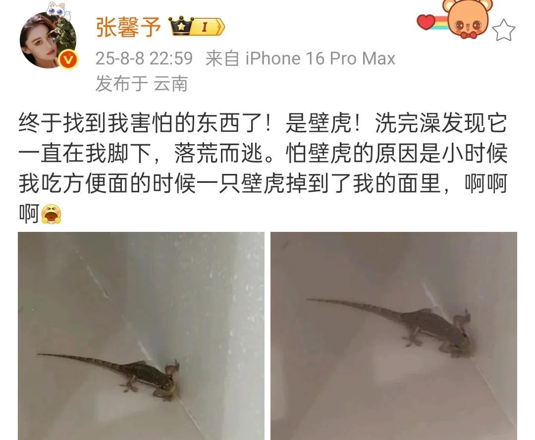 张馨予，真是让人弄不懂。
她可以用手抓蛇，可以把守宫放在胸前，感觉可以和一切爬行