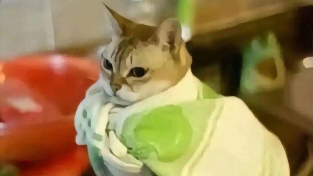 恐高的人估计用不来这厕所！！！