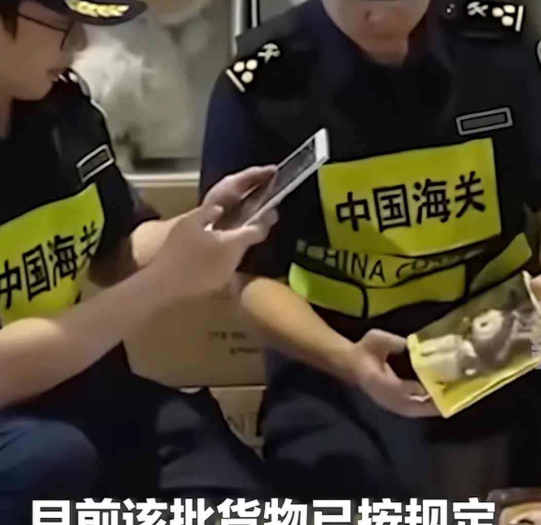 不懂这个玩偶为啥这么火，
海关都查出来盗版的还要扣押
看外观，那个大的离谱的