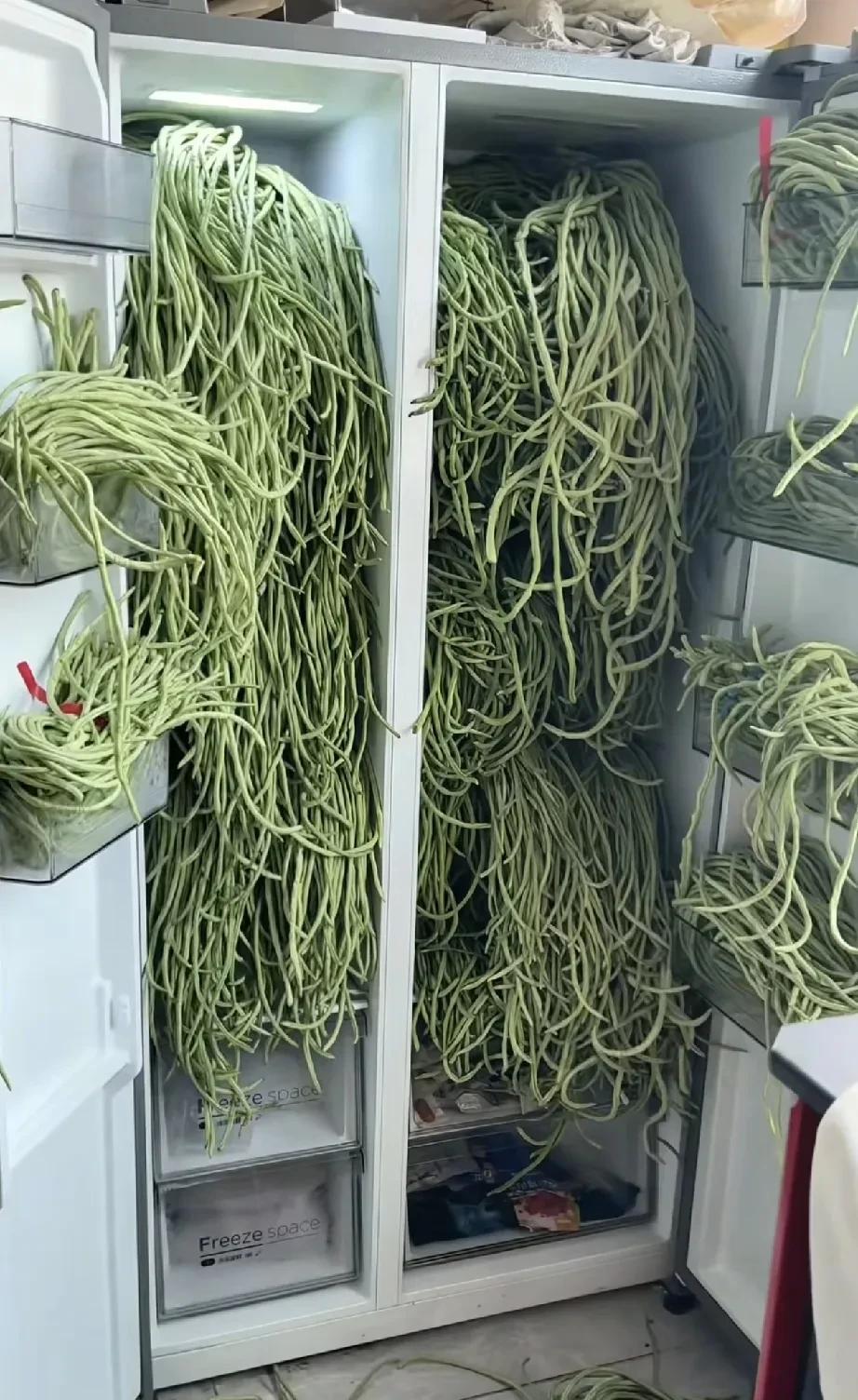 远嫁山东的同学晒她农村婆婆的冰箱全是豆角，还说后悔远嫁山东了，每年这个时候就是摘
