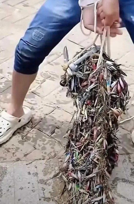 老公出去钓鱼，结果钓起来这堆东西，有人知道这是啥吗？