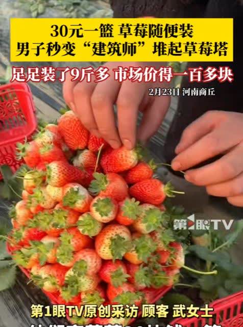 河南商丘一对夫妻去摘草莓，老板规定：一筐30元，只要在筐内就能带走，结果夫妻俩摘