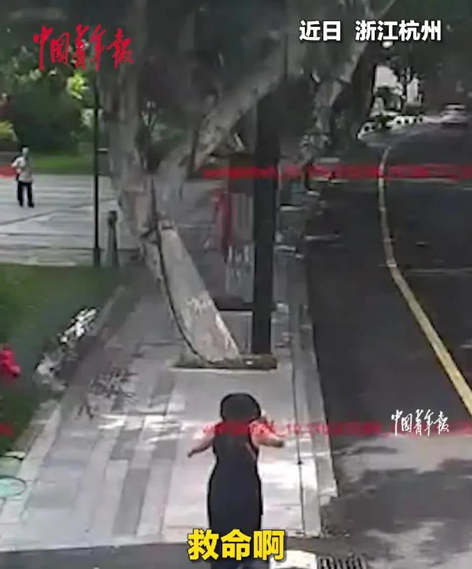 浙江杭州的一位妈妈找不到5岁小孩失声痛哭，巡逻城管出手相助，这一刻给你们点赞。我