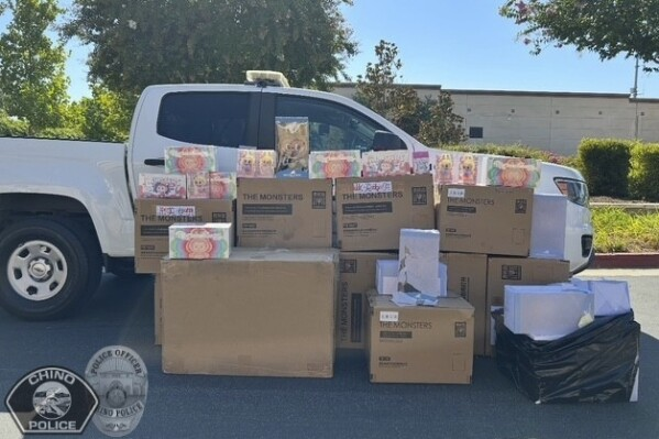 美国警方“救回”价值3万美元拉布布，窃贼是…