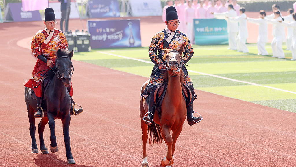 体育考古热：唐代马球文物展引发的现代马术复兴潮