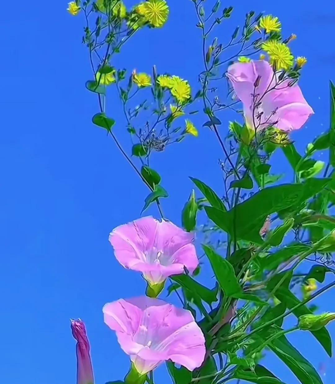 《论语·公冶长篇》第01/02条
修为到了，德行到了，境界到了，一切就都到了。